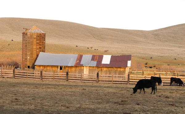 Naplemente vidéki dombok szarvasmarha-Ranch Farm mezőgazdasági pajta Silo — Stock Fotó
