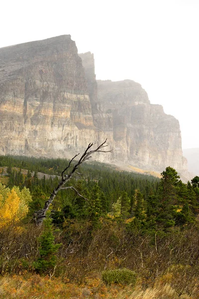 Le soleil illumine le brouillard Montagnes Rocheuses Montana Western State USA — Photo