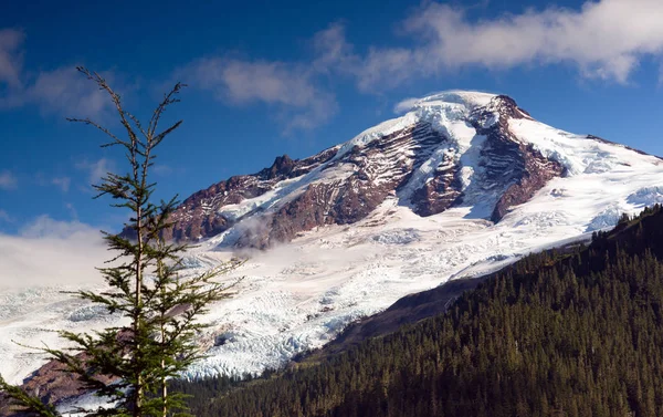 Mount Baker Koma Kulshan Cascade sopečného oblouku horské krajiny — Stock fotografie