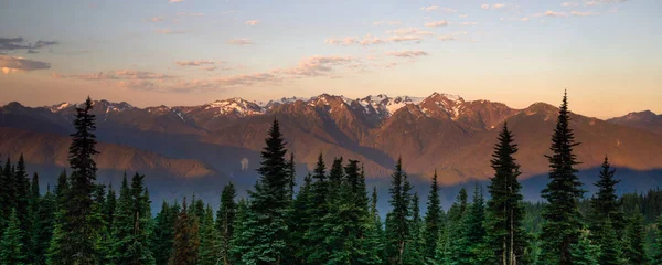 Hurricane Ridge Olympic National Park Mountain Range Tramonto — Foto Stock