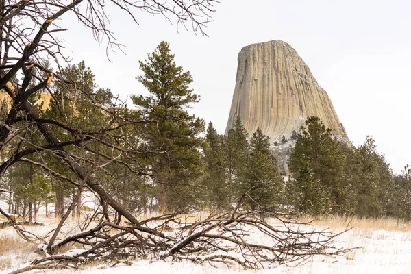 Devils Tower Wyoming zimní sníh Rock Butte — Stock fotografie