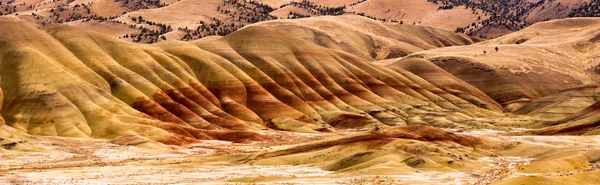 Malowane wzgórza kopalnych łóżka Oregon State Usa Ameryka Północna — Zdjęcie stockowe