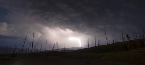 Sobre Tower Creek Thunderstorm Lightning Strikes Parque Nacional de Yellowstone — Foto de Stock