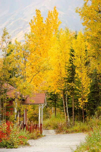 Red Porch Yellow Leaves Autumn Fall Season Alaska — Stock Photo, Image