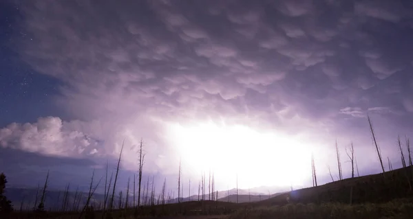 Sobre Tower Creek Thunderstorm Lightning Strikes Yellowstone Nati —  Fotos de Stock