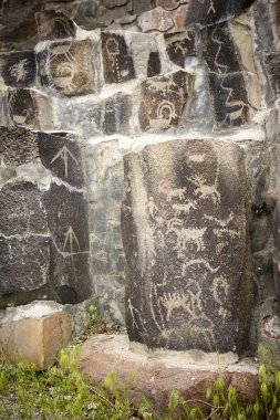 Antik petroglifler Cliff çizimler GINKO taşlaşmış orman Washington