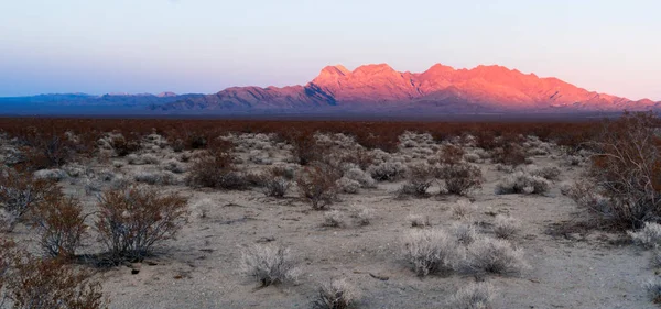 Montagne Provvidenza Fontana Cima Mojave Terre del deserto panoramiche — Foto Stock