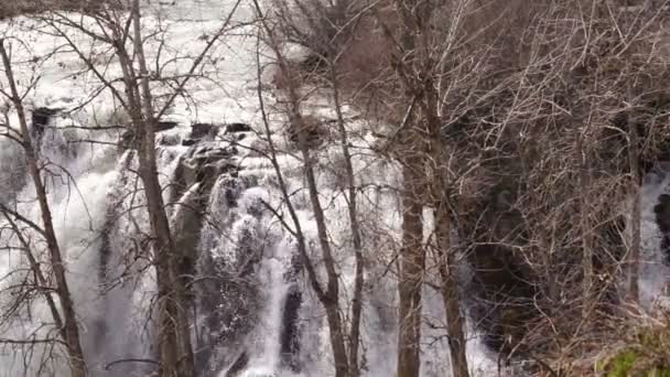 Wasserfall auf dem weißen Fluss im oregonischen Gebiet — Stockvideo