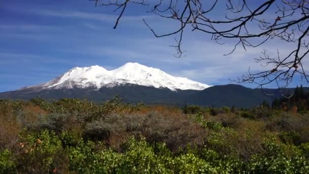 Mount Shasta Blue Skies Panoramic — Stock Video