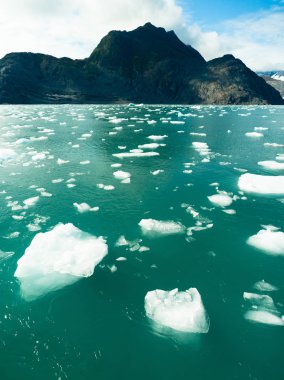Floating Icebergs Pacific Ocean Aialik Bay Alaska North America clipart