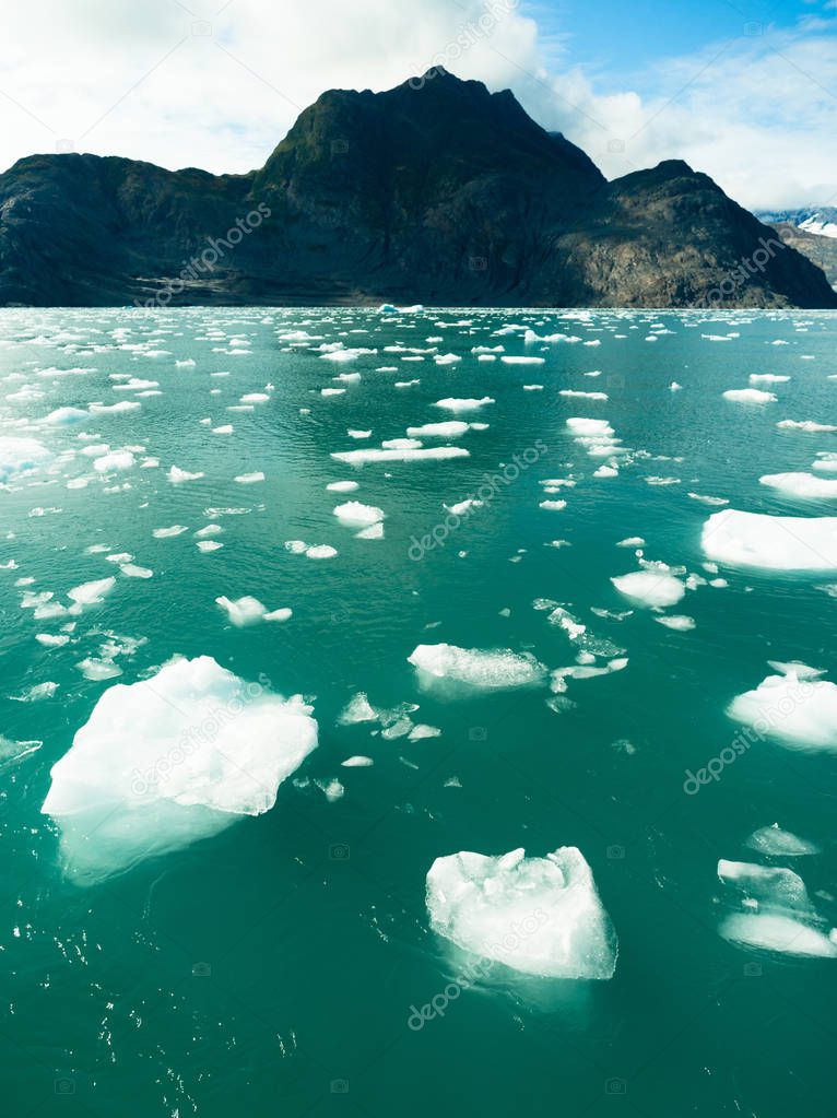 Floating Icebergs Pacific Ocean Aialik Bay Alaska North America