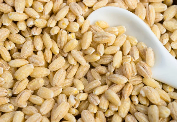 Pearl Barley Pearled cereali integrali Food — Foto Stock