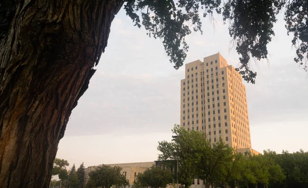 Grande quercia bancarelle North Dakota Capital Building Bismarck — Foto Stock