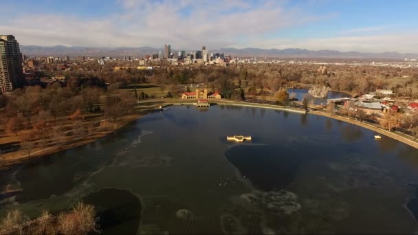 City Park Lake Denver Colorado Skyline Migración de gansos Aves Vida silvestre — Vídeos de Stock