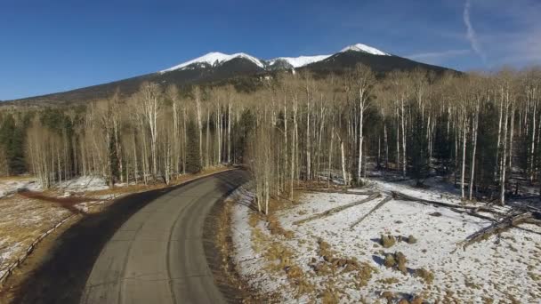 Humphrey's Peak Road Ulusal Ormanı Arizona güneybatı Amerika Birleşik Devletleri — Stok video