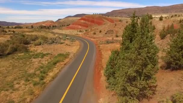 Пофарбовані пагорби викопного ліжка штату Орегон США Північної Америки — стокове відео