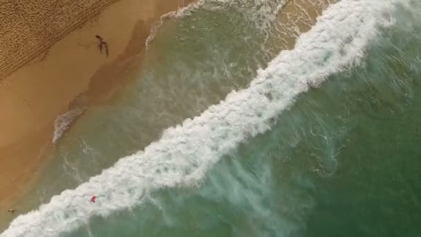 Les gens qui jouent aux vagues de surf s'écrasent Côte-Nord Océan Pacifique Oahu 