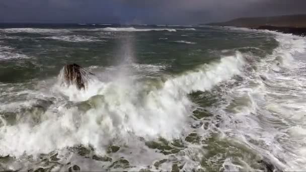 Κύματα συντριβή Ειρηνικού Ωκεανού ακτή ζυθοποιίας καταιγίδα — Αρχείο Βίντεο