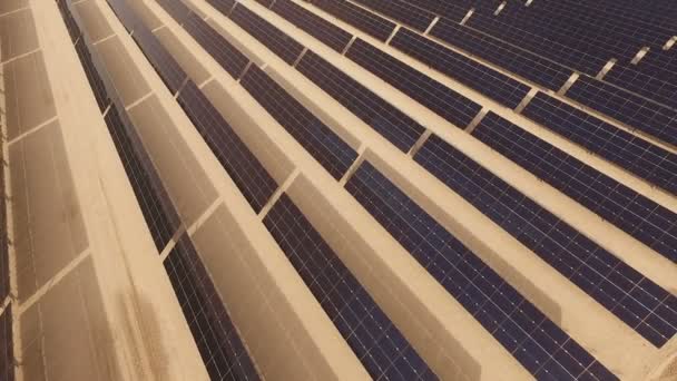 大規模な緑の代替エネルギー太陽光発電ファーム太陽集光パネル — ストック動画