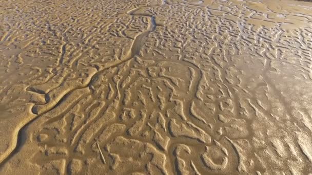Παλίρροια Flats εκβολές του Σαν Χουάν Bay υδάτινο απόθεμα Anacortes Ουάσιγκτον — Αρχείο Βίντεο