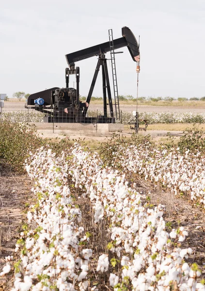 Texas cotton eingereicht Textilindustrie Ölindustrie pumpjack — Stockfoto