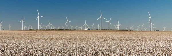 Windturbines alternatieve energie Texas katoen veld landbouw — Stockfoto
