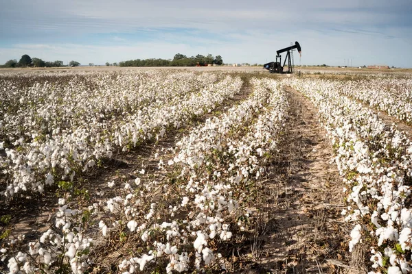 Bavlněné Texas podal textilní zemědělství oleje průmysl Pumpjack — Stock fotografie