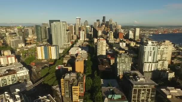 Здания Architecture Downtown Seattle Washington Aerial Fly Over — стоковое видео