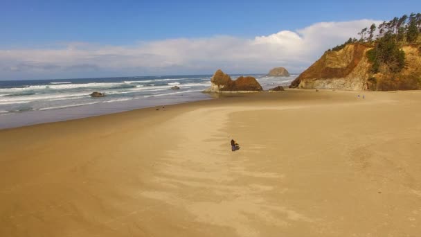 Pareja caminando perro Oregon costa playa pacífico océano — Vídeo de stock