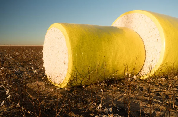 Fresco Bail Harvest Cotton Farm Field Texas Agricoltura — Foto Stock