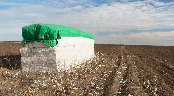 Fresh Bail Harvest Cotton Farm Field Texas Agriculture — Stock Photo, Image