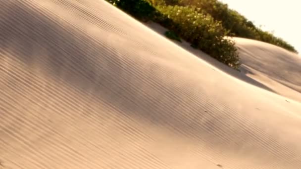 Blazen Zandduin Verplaatsen Van Glas Deeltjes South Padre Island — Stockvideo