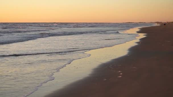Sonnenaufgang Golf Von Mexiko Strand Süden Padre Insel Strand — Stockvideo
