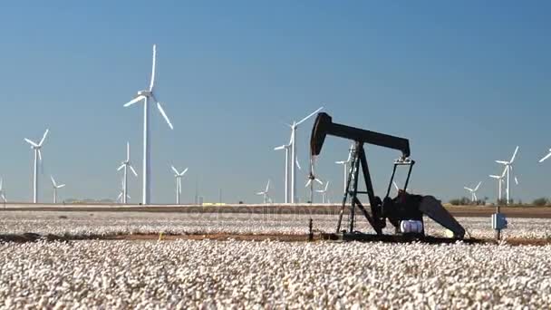 Katoen Veld Landbouw Windturbines Olie Derrick Energieproductie — Stockvideo