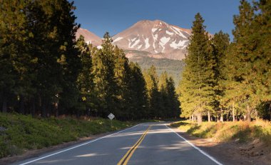 Mount Shasta Shastina art arda sıralı aralığı California Nationa orman