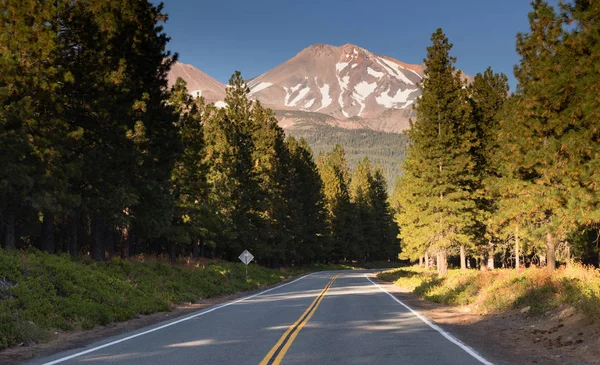 Mount Shasta Shastina Cascade Range Kalifornien snabbversionen Forest — Stockfoto