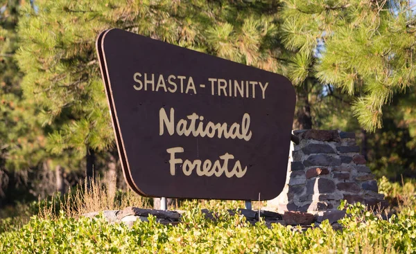 Shasta Trinity National Forest gränsen entrén Sign California — Stockfoto