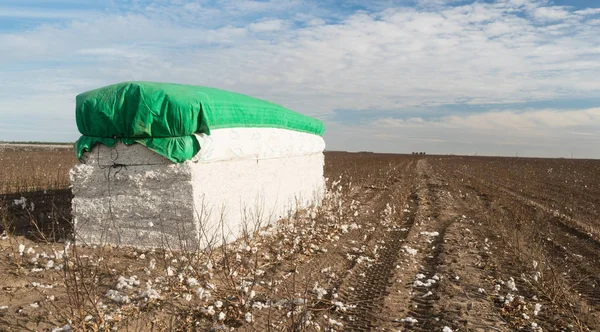 Bale of Cotton Farm Field West Texas Agricultura — Foto de Stock