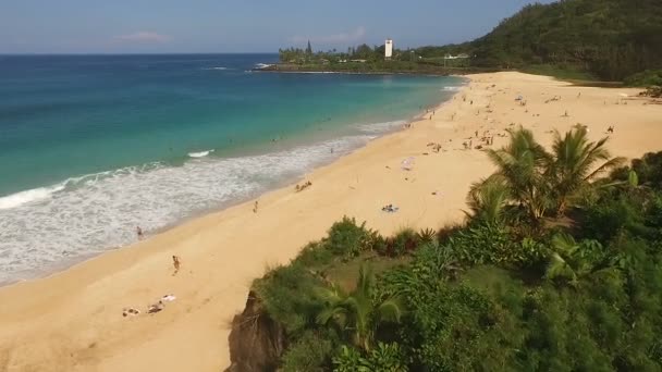 人们玩冲浪海浪北岸太平洋瓦胡岛 — 图库视频影像