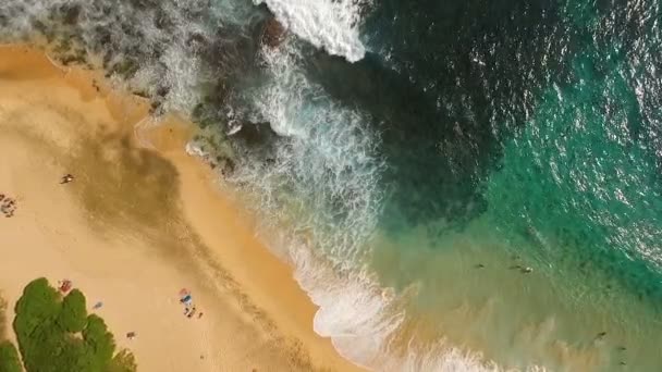 Menschen Strand Wellen Krachen Südufer Pazifik Oahu — Stockvideo