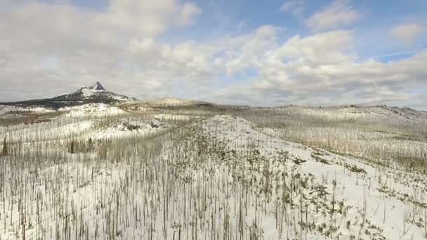 三指杰克独特的形状更新世火山层叠范围俄勒冈 — 图库视频影像