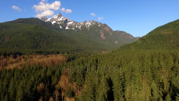 White Horse Mountain North Cascades Darrington Washington Sauk Rivierdal — Stockvideo