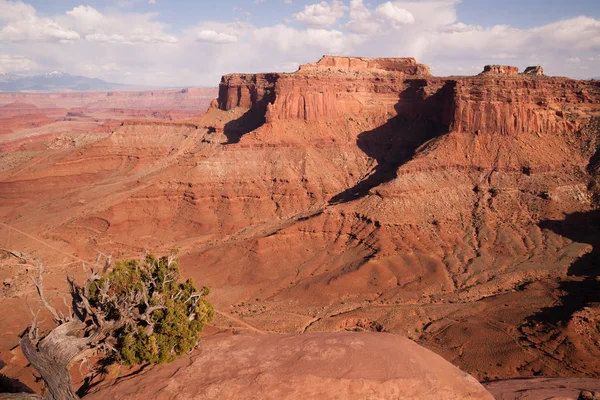 Národní Park Canyonlands jihovýchodním Utahu červené skalnaté hřebeny — Stock fotografie