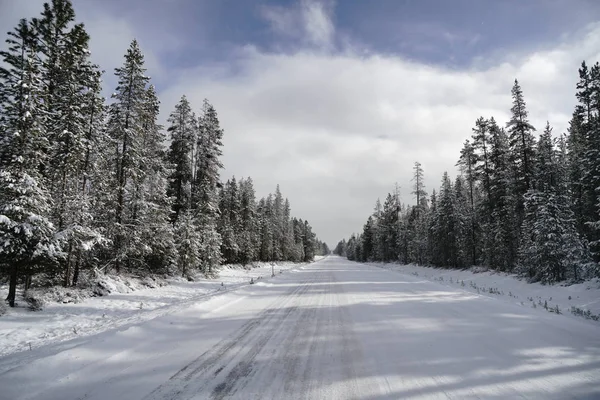 Mountain Pass kış yol Cascade aralığı Oregon State — Stok fotoğraf