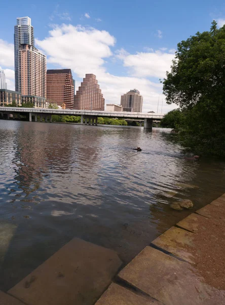 Pürüzsüz yansıma Austin Texas şehir şehir manzarası Colorado Nehri — Stok fotoğraf