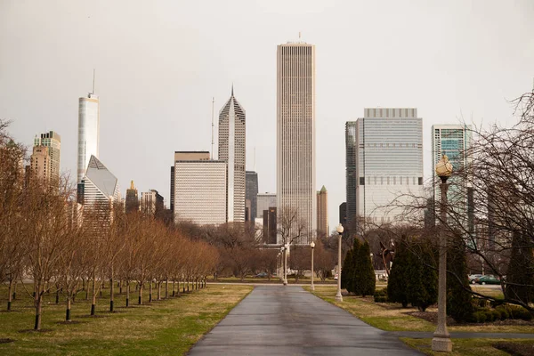 Downtown Chicago Illinois Skyline skarp vinter parkträd — Stockfoto