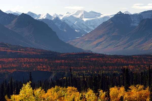 Denali bereik herfst kleur Alaska wildernis winterseizoen — Stockfoto