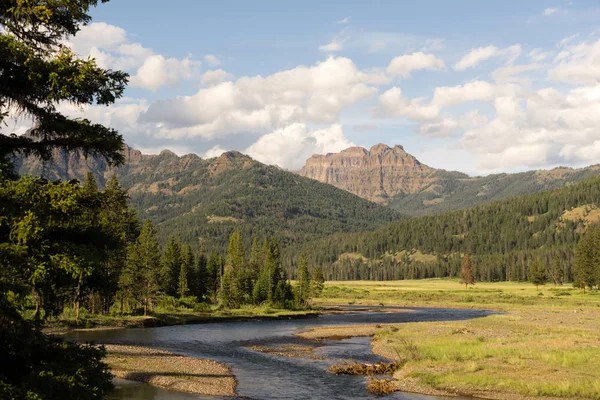 El río Lamer fluye a través del Parque Nacional Valley Yellowstone — Foto de Stock