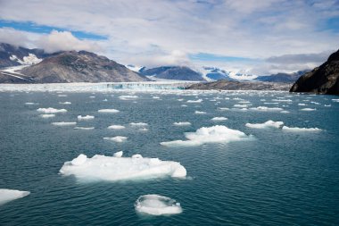 Alaska Glacier Kenai Fjords Milli Park buzdağları Bay su