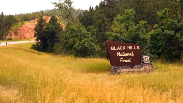 Schild Sagt Black Hills National Forest Motorräder Donnern Vorbei — Stockvideo